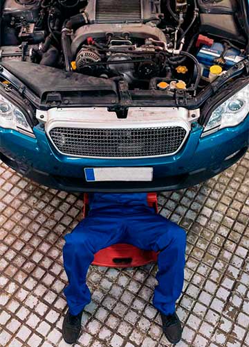 servicio-2.1